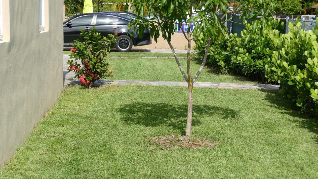 Miami-Airport Oasis Vip House Villa Dış mekan fotoğraf