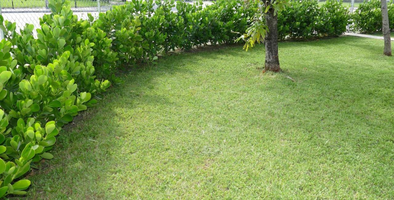 Miami-Airport Oasis Vip House Villa Dış mekan fotoğraf